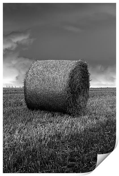 hay bale b&w Print by Northeast Images