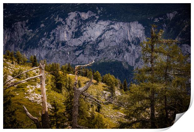 Typical panoramic view in the Austrian Alps with mountains and fir trees - Mount Loser Altaussee Print by Erik Lattwein
