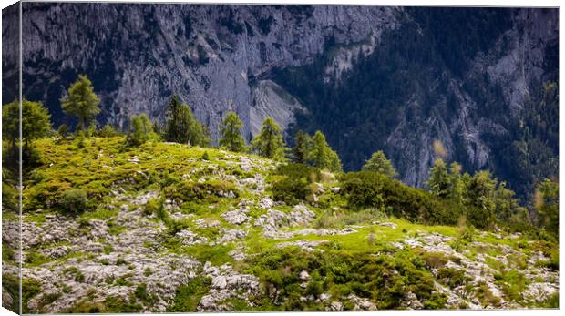 Typical panoramic view in the Austrian Alps with mountains and fir trees - Mount Loser Altaussee Canvas Print by Erik Lattwein