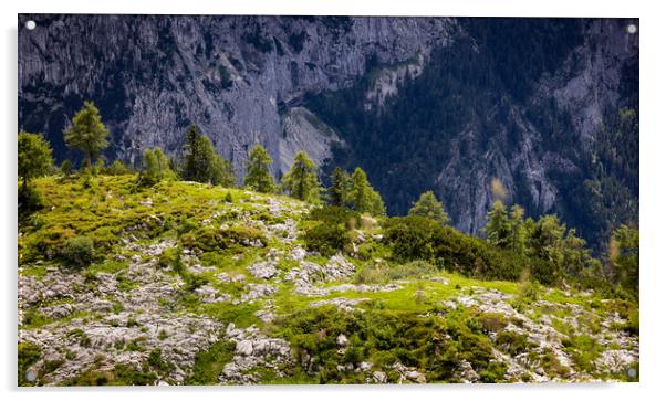 Typical panoramic view in the Austrian Alps with mountains and fir trees - Mount Loser Altaussee Acrylic by Erik Lattwein