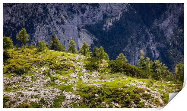 Typical panoramic view in the Austrian Alps with mountains and fir trees - Mount Loser Altaussee Print by Erik Lattwein