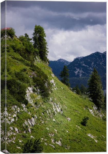 Amazing scenery and typical landscape in Austria - the Austrian Alps Canvas Print by Erik Lattwein