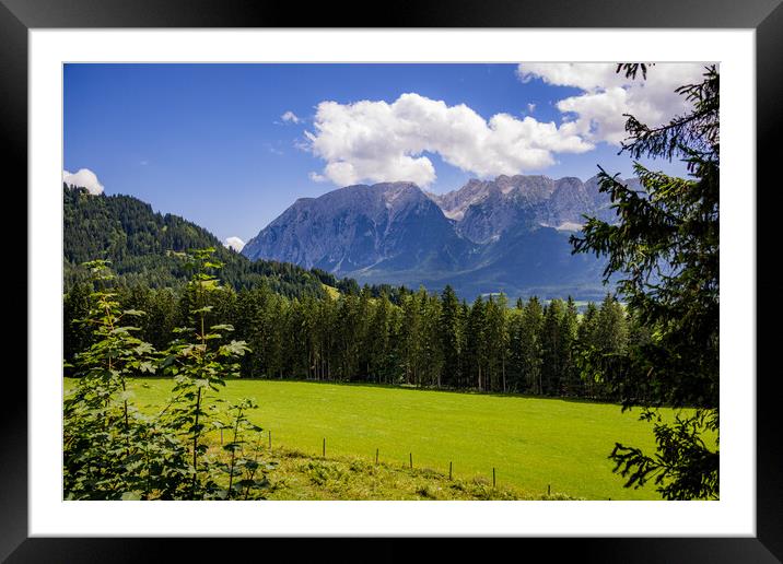 Typical panoramic view in the Austrian Alps with mountains and fir trees - Mount Loser Altaussee Framed Mounted Print by Erik Lattwein