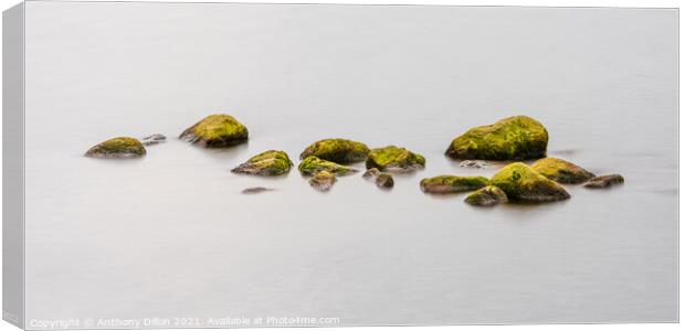 Rocks in Water Panoramic. Canvas Print by Anthony Dillon