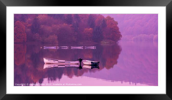 Boats On Ladybower.  Framed Mounted Print by Anthony Dillon