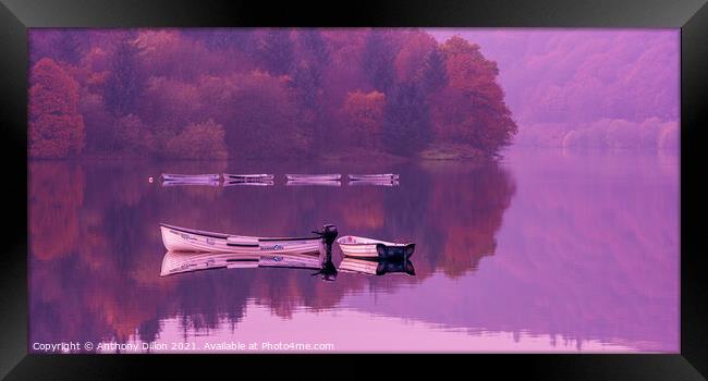 Boats On Ladybower.  Framed Print by Anthony Dillon