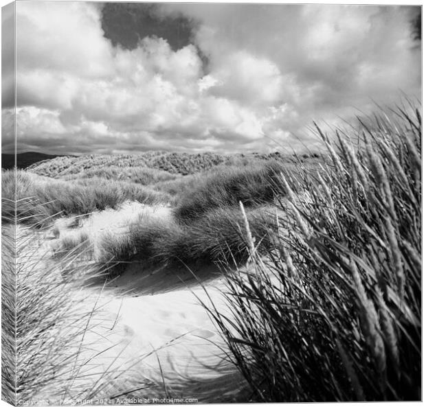 Sand dunes Canvas Print by Peter Hunt