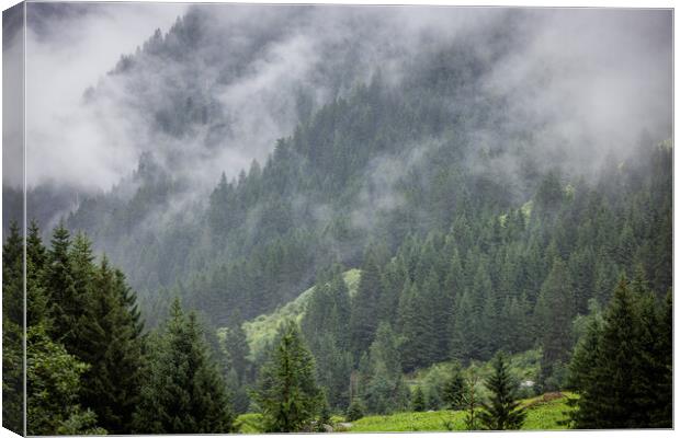 Fog in the Austrian Alps on a misty day Canvas Print by Erik Lattwein