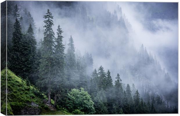 Deep clouds over the fir trees in the Austrian Alps - Vorarlberg region Canvas Print by Erik Lattwein