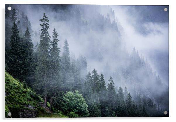 Deep clouds over the fir trees in the Austrian Alps - Vorarlberg region Acrylic by Erik Lattwein