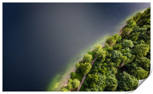 Fir trees and a lake from above - top down view Print by Erik Lattwein