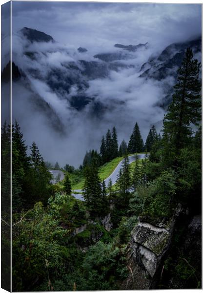 Low clouds over the fir trees in the Austrian Alps - Vorarlberg region Canvas Print by Erik Lattwein