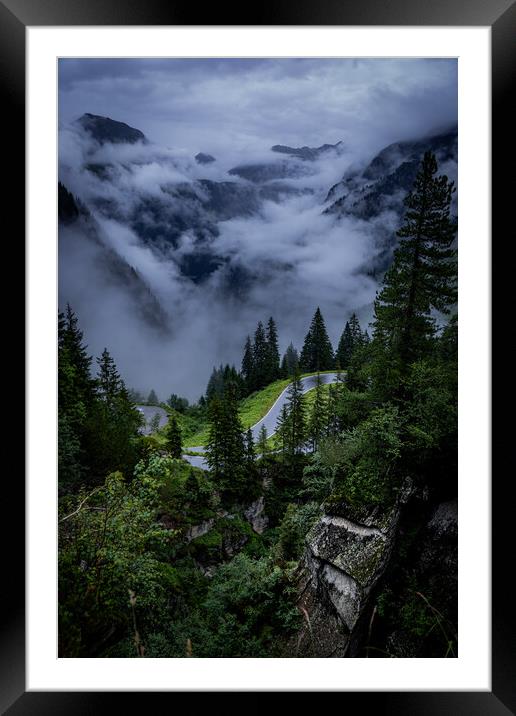 Low clouds over the fir trees in the Austrian Alps - Vorarlberg region Framed Mounted Print by Erik Lattwein