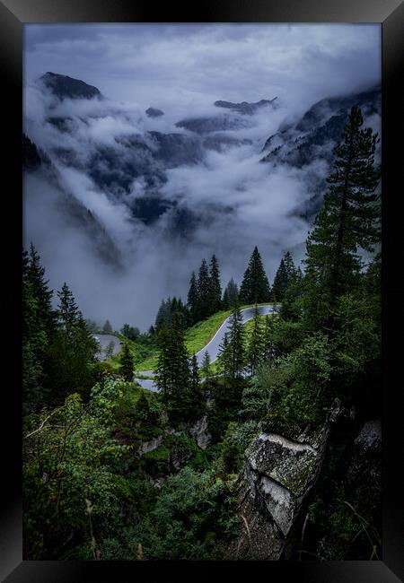 Low clouds over the fir trees in the Austrian Alps - Vorarlberg region Framed Print by Erik Lattwein