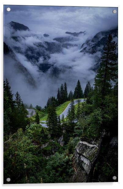 Low clouds over the fir trees in the Austrian Alps - Vorarlberg region Acrylic by Erik Lattwein