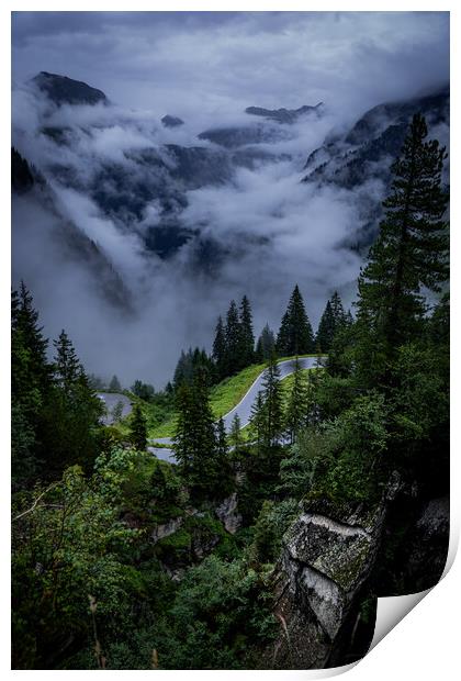 Low clouds over the fir trees in the Austrian Alps - Vorarlberg region Print by Erik Lattwein