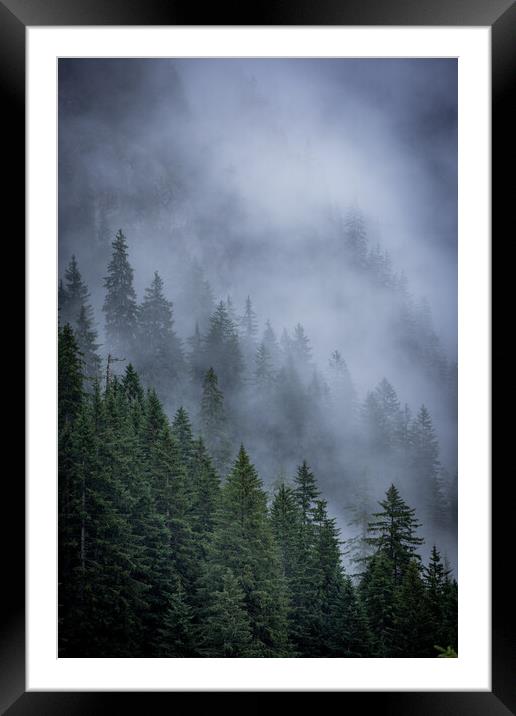 Mist in the fir tree forest of the Austrian Alps - great mountain view Framed Mounted Print by Erik Lattwein