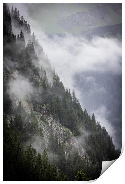 Deep clouds over the fir trees in the Austrian Alps - Vorarlberg region Print by Erik Lattwein