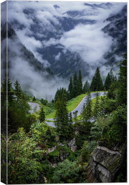 Beautiful view over the mountains and fir trees in the Austrian Alps Canvas Print by Erik Lattwein