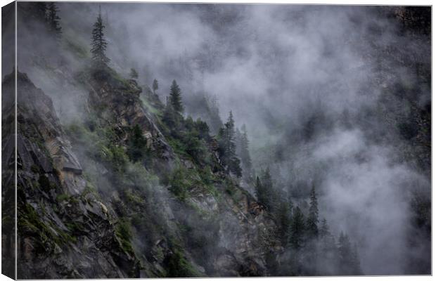Deep clouds over the fir trees in the Austrian Alps - Vorarlberg region Canvas Print by Erik Lattwein