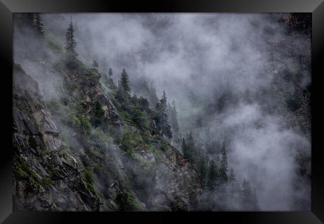 Deep clouds over the fir trees in the Austrian Alps - Vorarlberg region Framed Print by Erik Lattwein