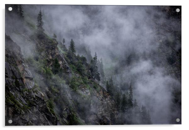 Deep clouds over the fir trees in the Austrian Alps - Vorarlberg region Acrylic by Erik Lattwein