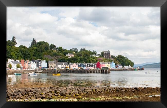 What's the story? Tobermory Framed Print by Chris Haynes