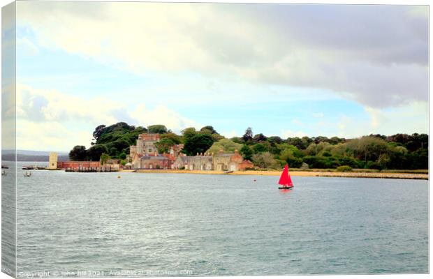 Brownsea Island, Poole, Dorset. Canvas Print by john hill