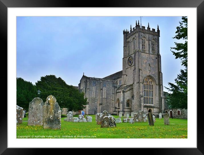 Christchurch Priory 1 Framed Mounted Print by Nathalie Hales