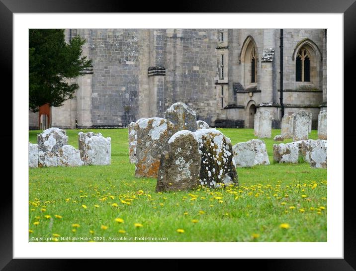 Gravestones at Christchurch Priory Framed Mounted Print by Nathalie Hales