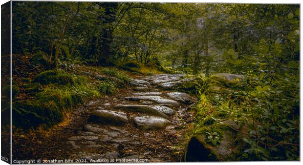 Pathway to a Story Canvas Print by Jonathan Bird