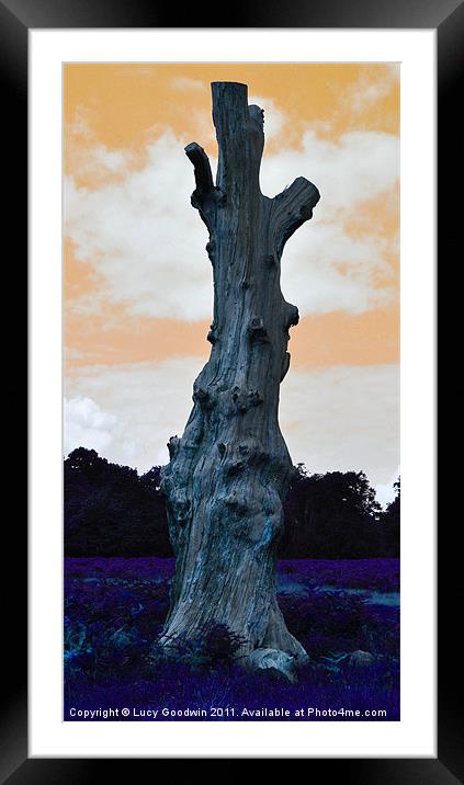 Death of a tree Framed Mounted Print by Lucy Goodwin