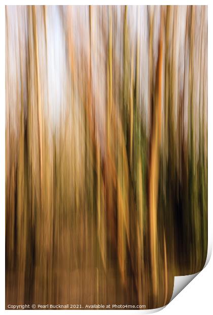 Blurred Woodland Trees Abstract Print by Pearl Bucknall
