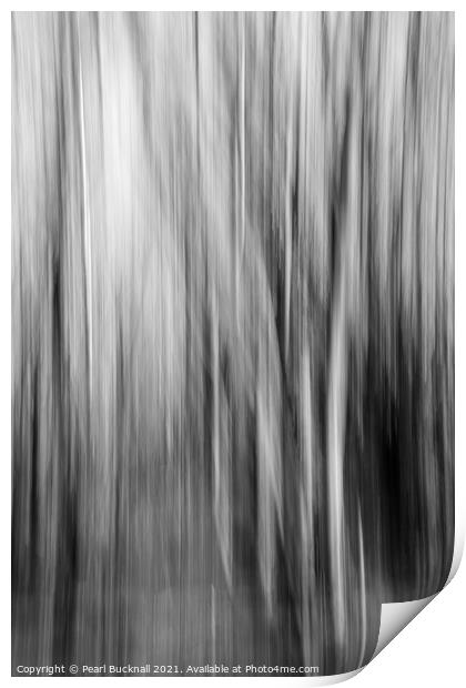 Blurred Tree Trunks Abstract Black and White Print by Pearl Bucknall