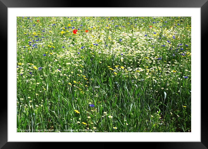Nature's Colorful Abundance Framed Mounted Print by Roger Mechan