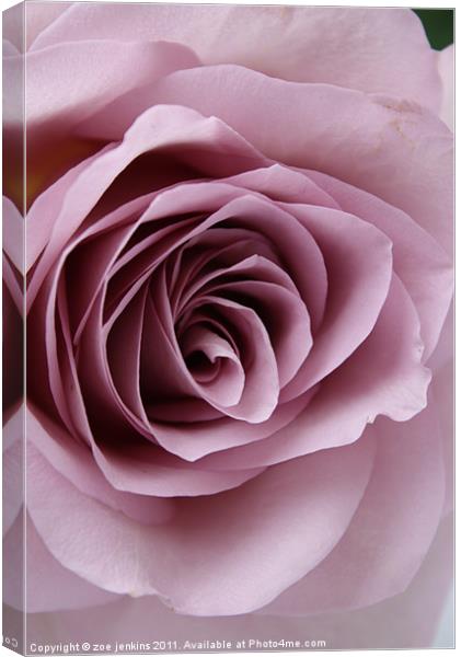 Cool Water Rose Canvas Print by zoe jenkins