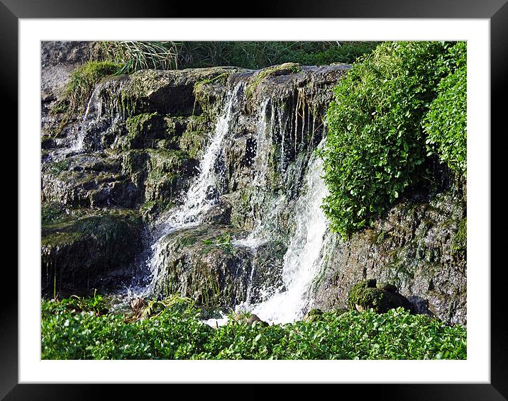 Spring falls Framed Mounted Print by Doug McRae