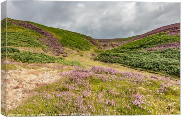 Wire Gill Mine Remains (2) Canvas Print by Richard Laidler