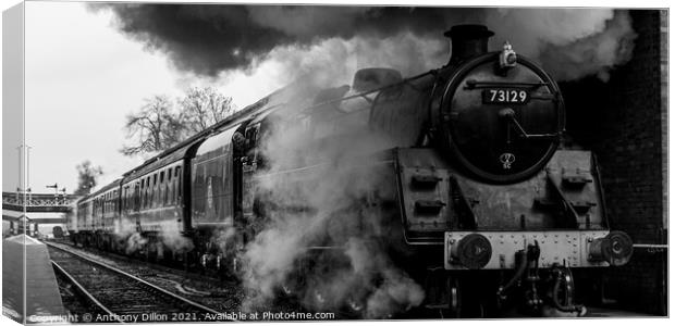 Steam Train in Mono Canvas Print by Anthony Dillon