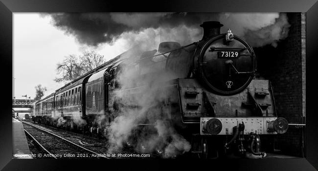 Steam Train in Mono Framed Print by Anthony Dillon