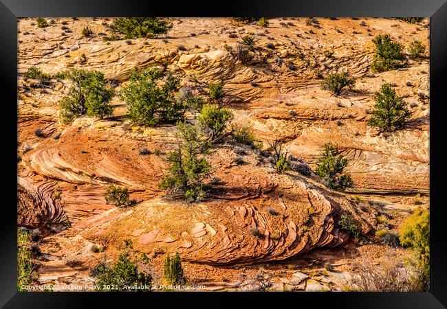 Rock Patterns Near Shoe Arch Canyonlands Needles Utah Framed Print by William Perry