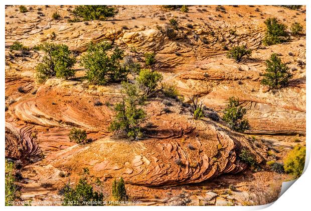 Rock Patterns Near Shoe Arch Canyonlands Needles Utah Print by William Perry