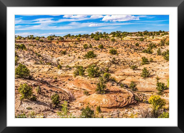 Rock Patterns Near Shoe Arch Canyonlands Needles Utah Framed Mounted Print by William Perry
