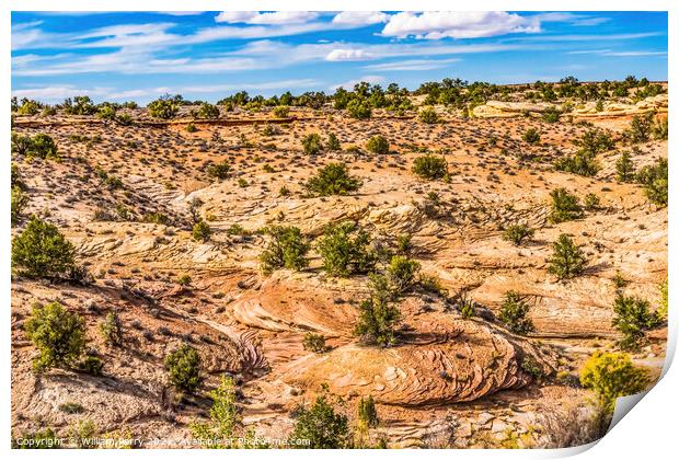 Rock Patterns Near Shoe Arch Canyonlands Needles Utah Print by William Perry