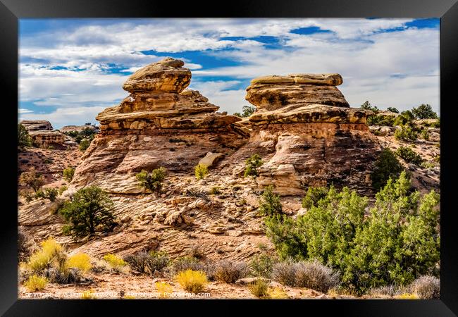 Rock Fromations Near Shoe Arch Canyonlands Needles Utah Framed Print by William Perry