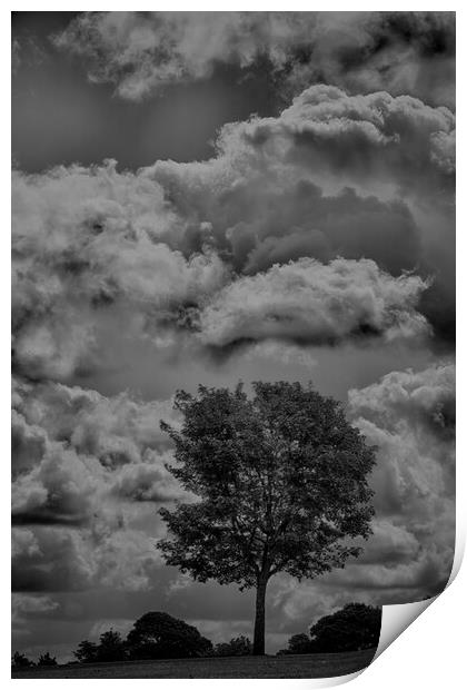 Mono Tree with stormy skies behind  Print by Glen Allen