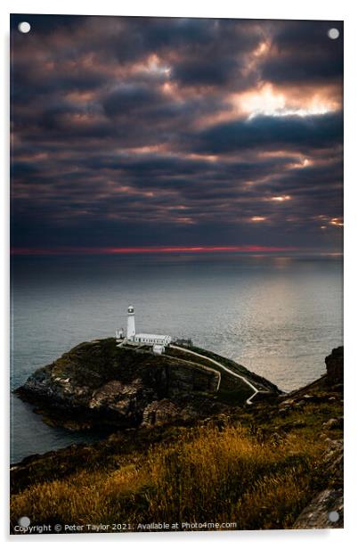 South Stack Lighthouse Acrylic by Peter Taylor