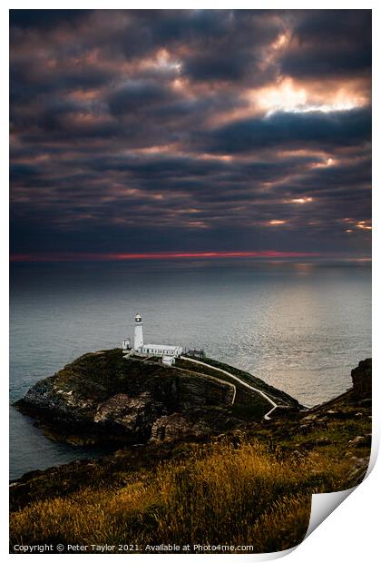 South Stack Lighthouse Print by Peter Taylor