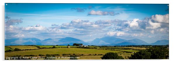 View to Snowdon from Anglesey Acrylic by Peter Taylor