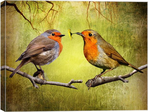 Robin Gifts Canvas Print by Julie Hoddinott